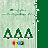 Wzór BK-393 - CD-KARNET - kartka świąteczna z kolędami