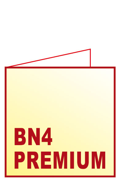 Karnety biznesowe BN4 - Kartki świąteczne dla firm - ozdobne kartki świąteczne