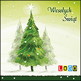 Wzór BK-003 - CD-KARNET - kartka świąteczna z kolędami