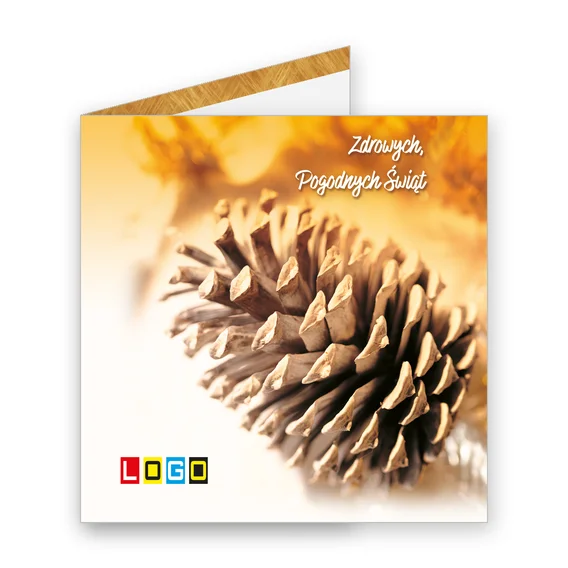 Naturalna szyszka BN2-214 — okładka, motyw szyszki